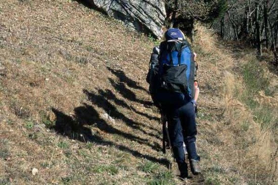 2001brogoldone5144jpg 36089881726 o