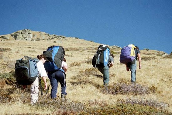 2001brogoldone5152jpg 35289858484 o