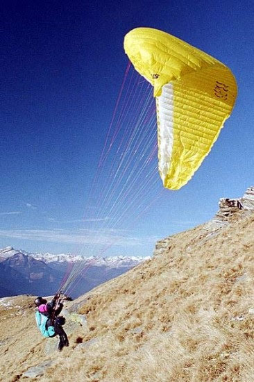 2001brogoldone5183jpg 36089879846 o