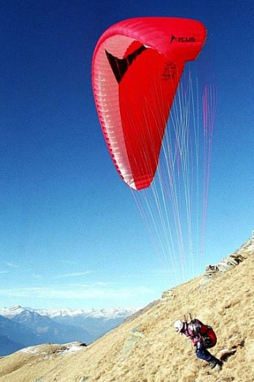 2001brogoldone5187jpg 36089879336 o