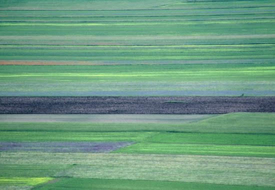 2001castelluccio5169jpg 35998317141 o