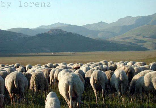 2001castelluccio5338jpg 35998314201 o