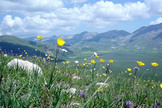 2002castelluccio5088jpg 35324868913 o