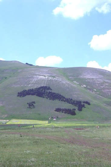 2002castelluccio5089jpg 36134026465 o
