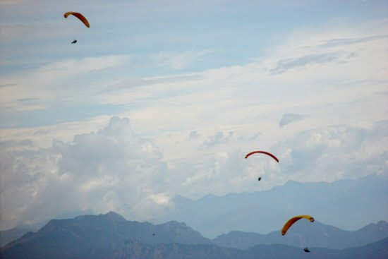 2002jamescup4994jpg 35963080602 o