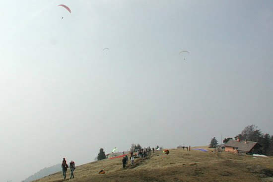 200350esimofiloviadicardada4877jpg 35988253812 