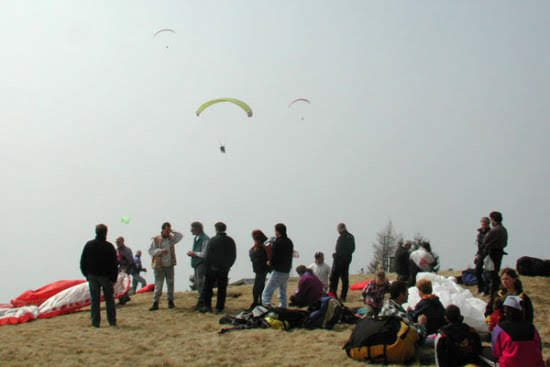 200350esimofiloviadicardada4881jpg 35988253472 