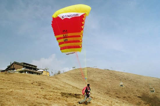 200350esimofiloviadicardada4886jpg 35988252752 