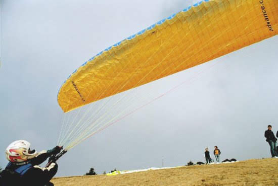 200350esimofiloviadicardada4893jpg 35349735893 