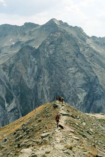 2003adula4647jpg 36092689926 o