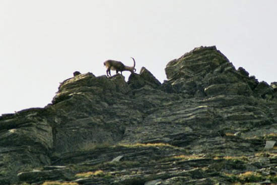 2003adula4679jpg 36092688766 o