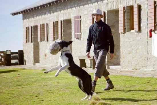 2003brogoldone4669jpg 35963194862 o