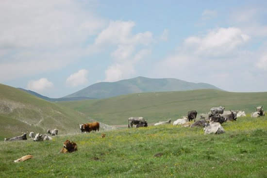 2003castelluccio4773jpg 35963237662 o