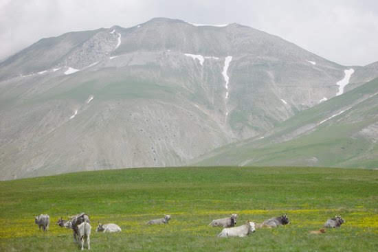 2003castelluccio4775jpg 35741248940 o