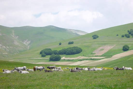 2003castelluccio4778jpg 35741248890 o