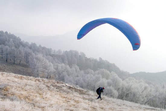 2003cimadimedeglia4748jpg 35999861591 o