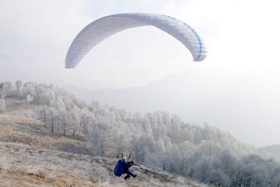 2003cimadimedeglia4754jpg 35999861431 o