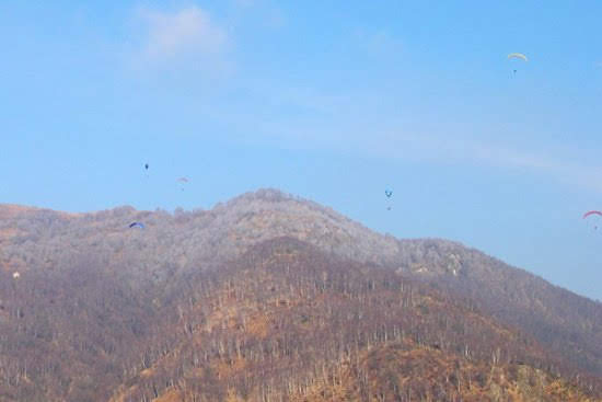 2003cimadimedeglia4764jpg 35999861211 o