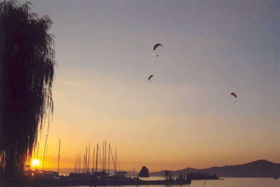 2003concorsofotografico4785jpg 35999879681 o