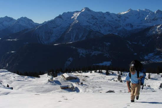 2004cari4493jpg 35741299180 o