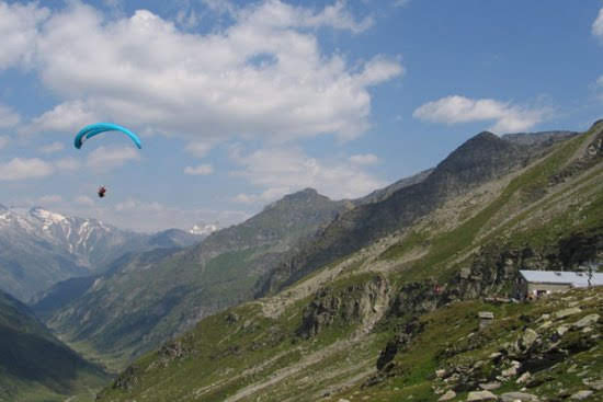 2005adula4255jpg 35999954441 o