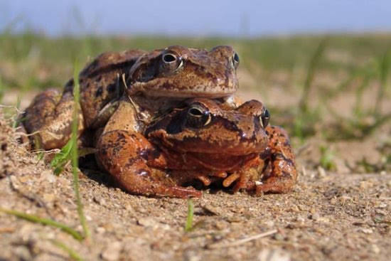 2005voliseralicimadimedeglia044261jpg 359633435