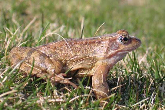 2005voliseralicimadimedeglia044262jpg 359633434