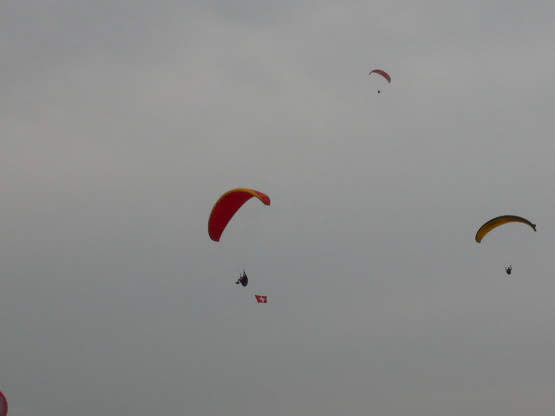 2006luciombre4025jpg 35292597144 o