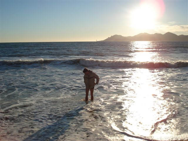 2006montecarlo4126jpg 36134572405 o