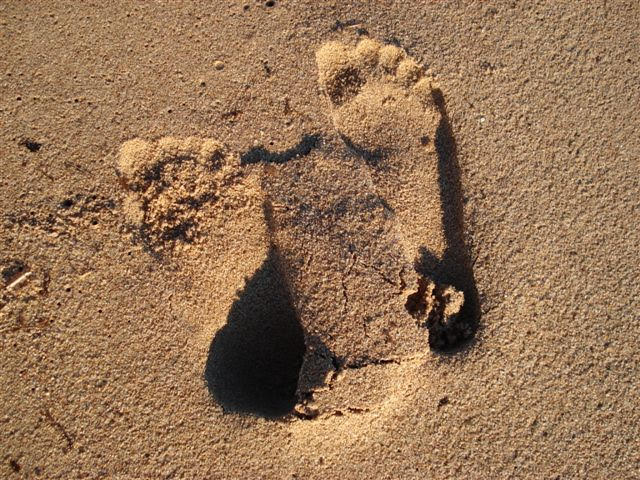 2006montecarlo4131jpg 36134572145 o