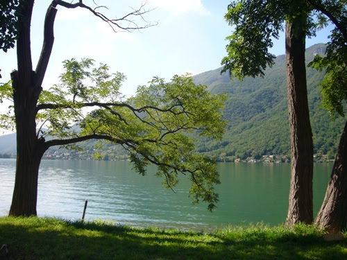 200720esimopinkbaron3346jpg 35991773812 o