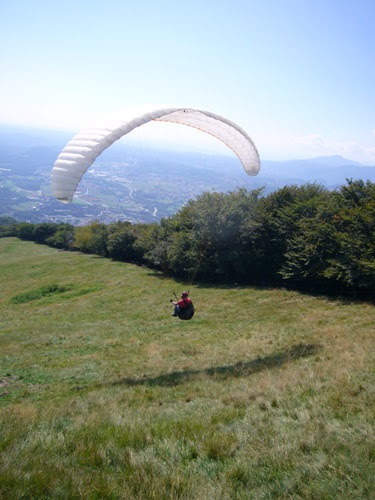 200720esimopinkbaron3356jpg 35991773332 o