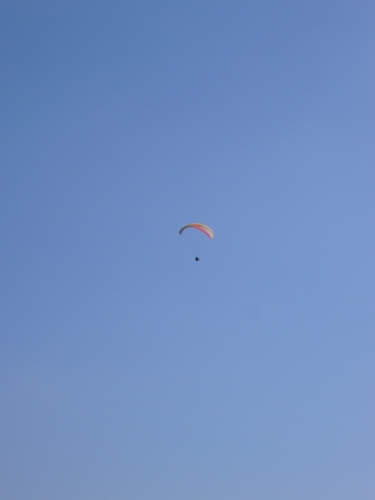 200720esimopinkbaron3358jpg 35991773132 o