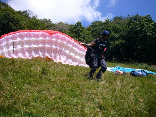 200720esimopinkbaron3359jpg 36119483386 o