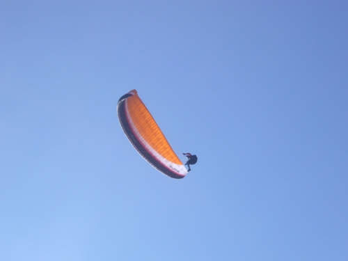 200720esimopinkbaron3365jpg 36119482806 o