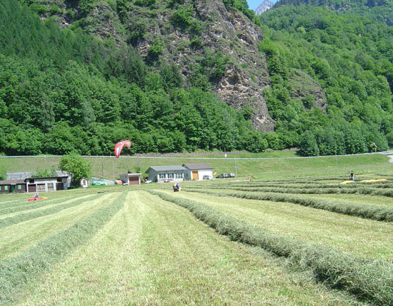 2007profumiesapori3617jpg 35322096624 o