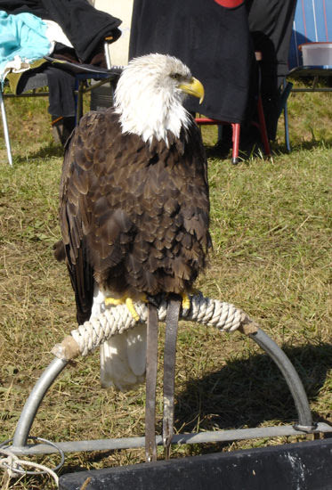 2007sthilaire3192jpg 36120495856 o