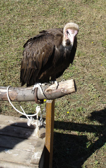 2007sthilaire3193jpg 36120495496 o