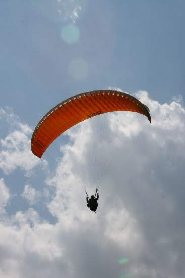 2008autostoricheinpista2732jpg 35768509010 o