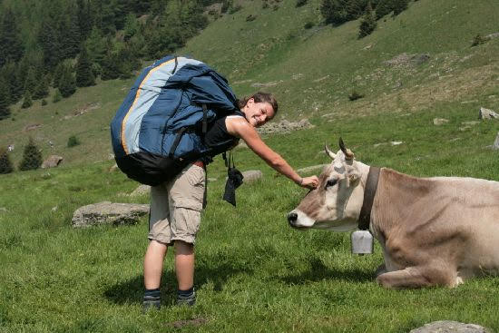 2008autostoricheinpista2747jpg 36119350086 o