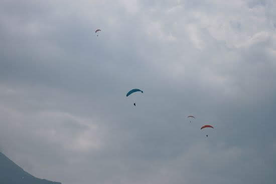 2008autostoricheinpista2768jpg 35991623212 o