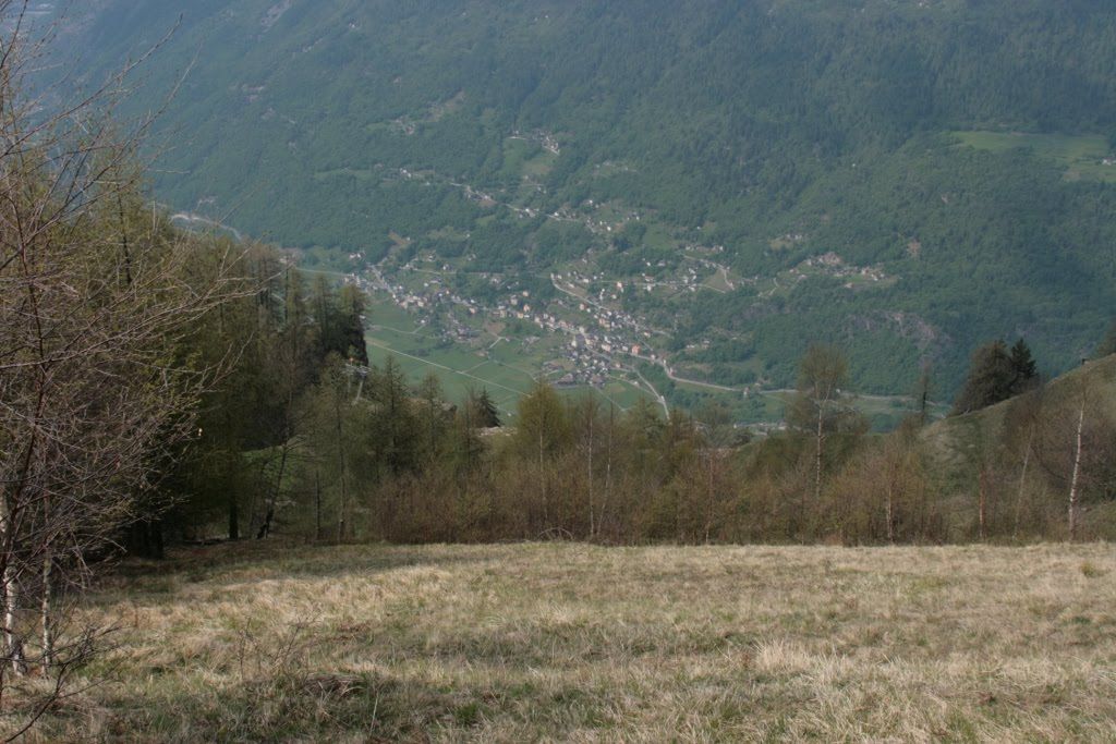 2008corsapodisticadagro2839jpg 35320541314 o