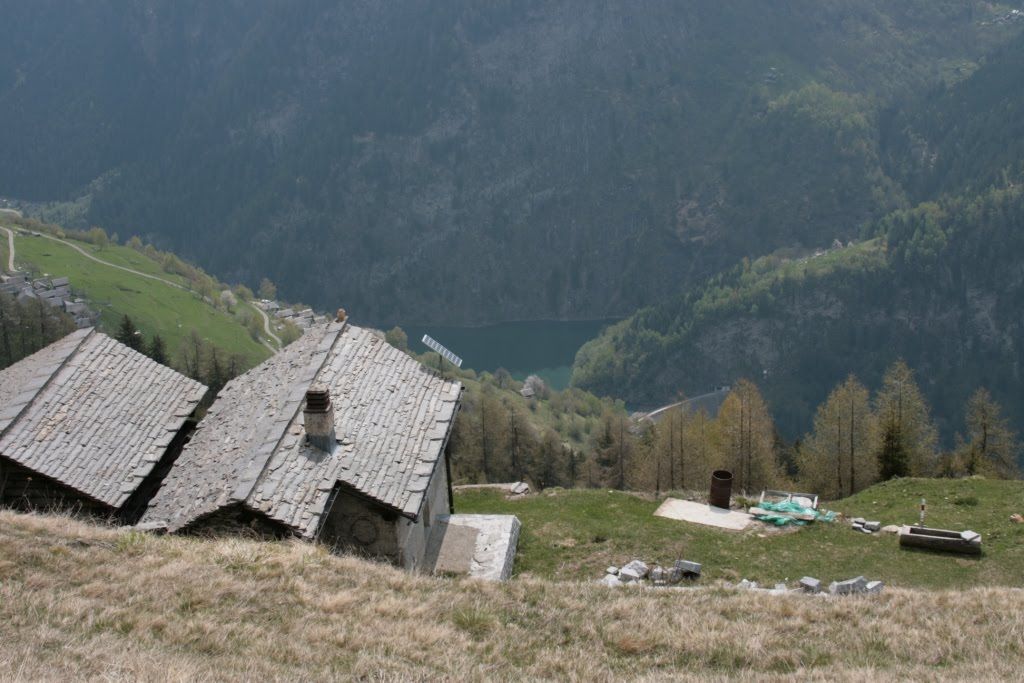 2008corsapodisticadagro2866jpg 35320537924 o