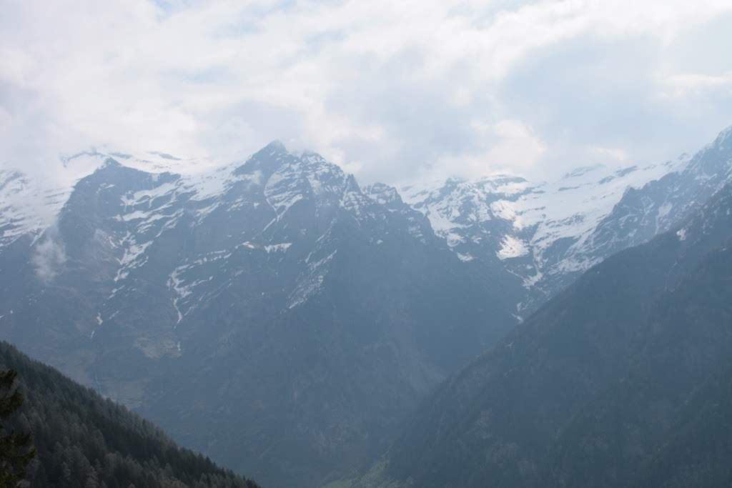 2008corsapodisticadagro2868jpg 35320537614 o