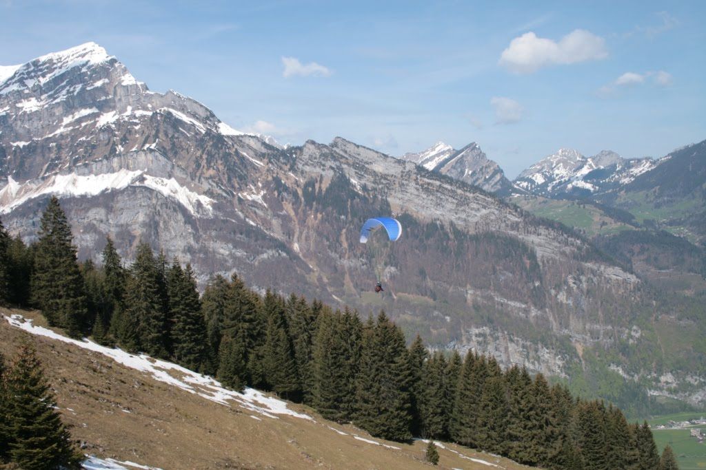 2008flyestivalfronalp2804jpg 35991569192 o