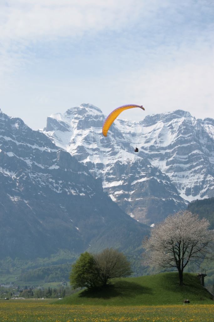 2008flyestivalfronalp2813jpg 35991570012 o