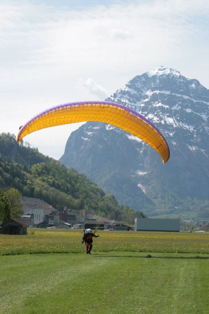 2008flyestivalfronalp2816jpg 35991566722 o