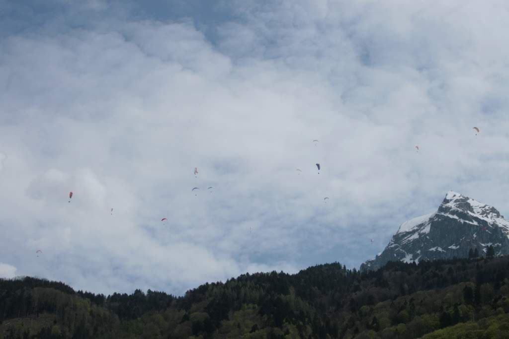 2008flyestivalfronalp2823jpg 35991565542 o