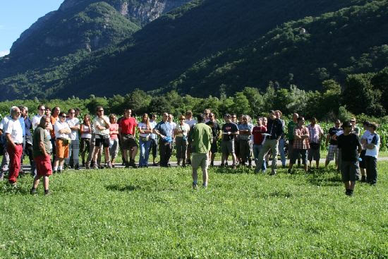 2008flyinlodrino2645jpg 35991576852 o