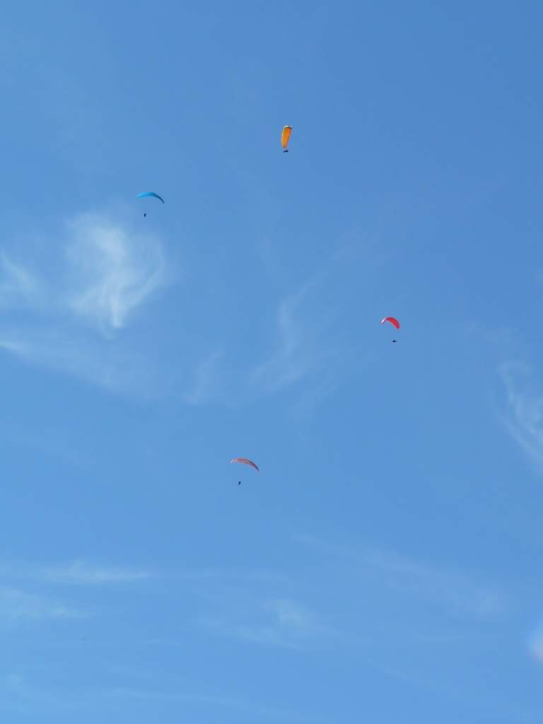 2008racetogrott2610jpg 36119301606 o